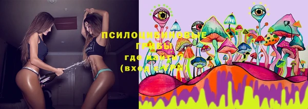 стафф Алексеевка