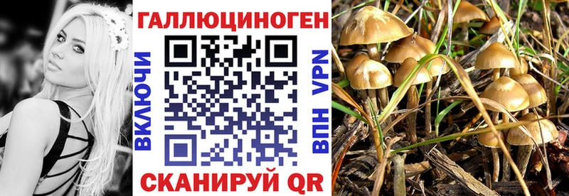 Галлюциногенные грибы GOLDEN TEACHER магазин Тотьма
